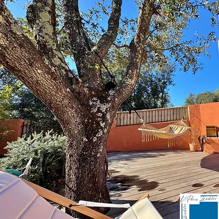 Horus - Bergerie 1chambre - Piscine Privee 别墅 San-Gavino-di-Carbini